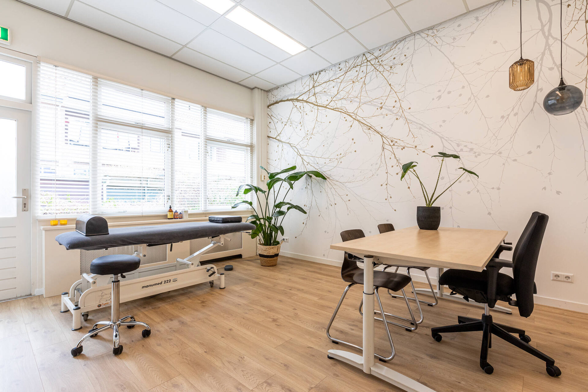 Practice room with a treatment couch, desk and plants